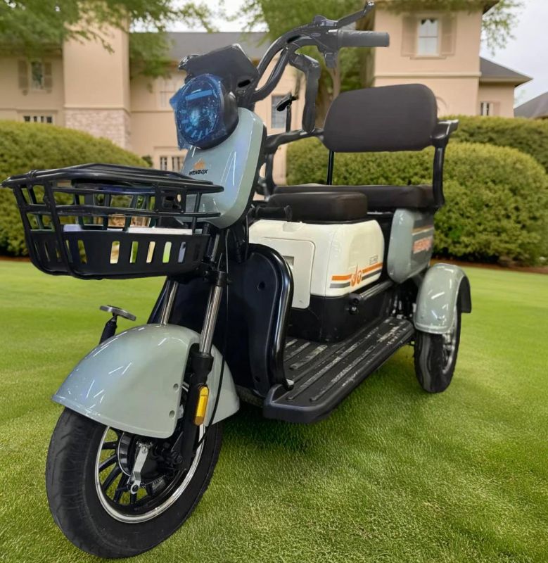 Электротрицикл ElectroTrike Бумеранг Pro Зеленый Электротрицикл ElectroTrike Бумеранг Pro Зеленый