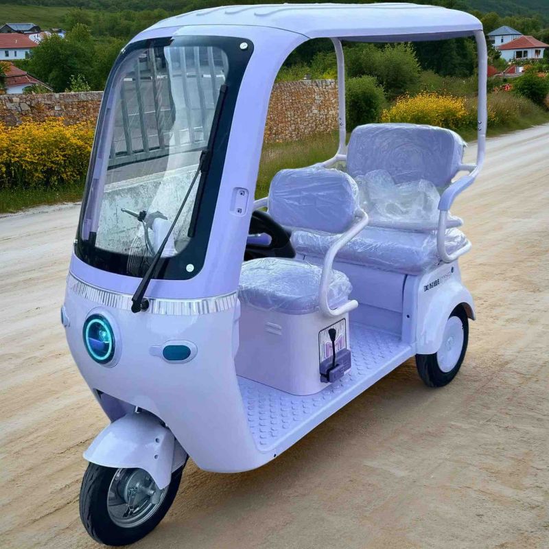 Электротрицикл ProTrike Караван Крыша V1 Электротрицикл ProTrike Караван Крыша V1